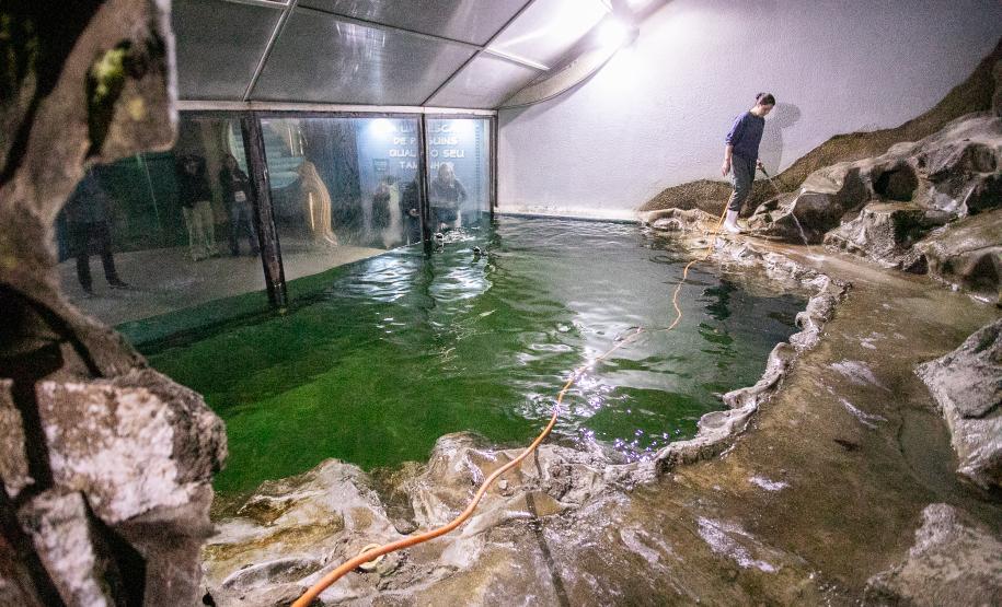 Portos do Paraná investe em manutenção e reforma do Aquário de Paranaguá