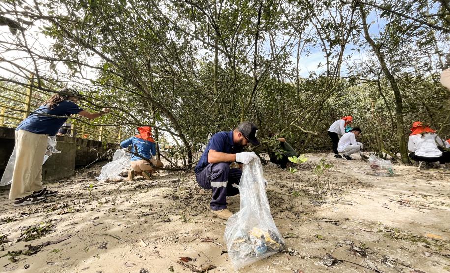 Portos do Paraná realiza ações desde 2016 no litoral; dezenas de voluntários e empresas parceiras participaram dos mutirões desta semana