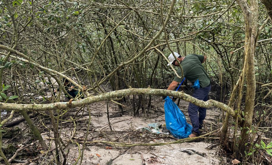 Portos do Paraná realiza ações desde 2016 no litoral; dezenas de voluntários e empresas parceiras participaram dos mutirões desta semana