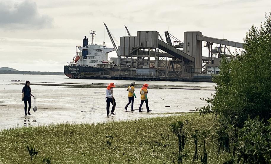 Portos do Paraná realiza ações desde 2016 no litoral; dezenas de voluntários e empresas parceiras participaram dos mutirões desta semana
