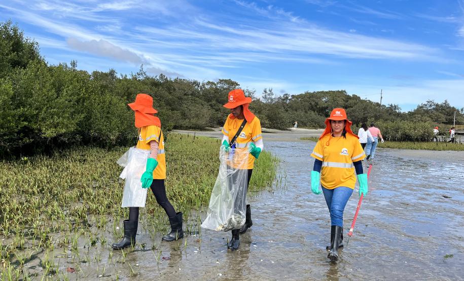 Portos do Paraná realiza ações desde 2016 no litoral; dezenas de voluntários e empresas parceiras participaram dos mutirões desta semana