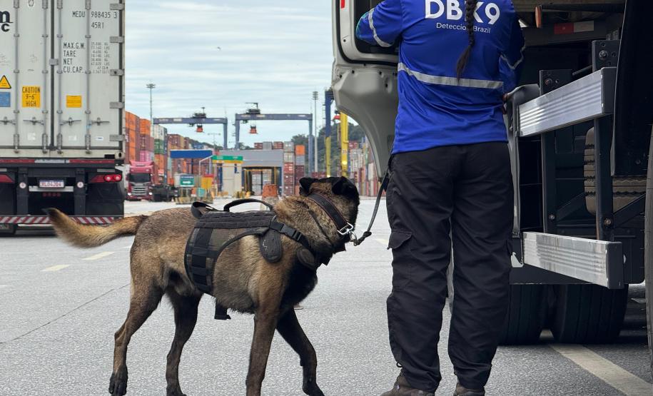 Simulado de combate ao tráfico de drogas no Porto de Paranaguá utiliza cães farejadores