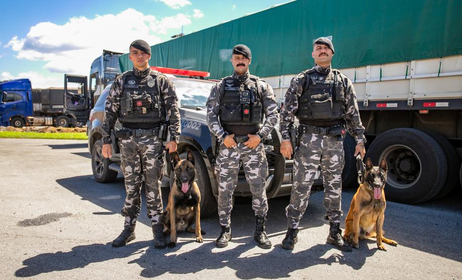 Cães farejadores apoiam Operação Faro no Pátio de Triagem da Portos do Paraná