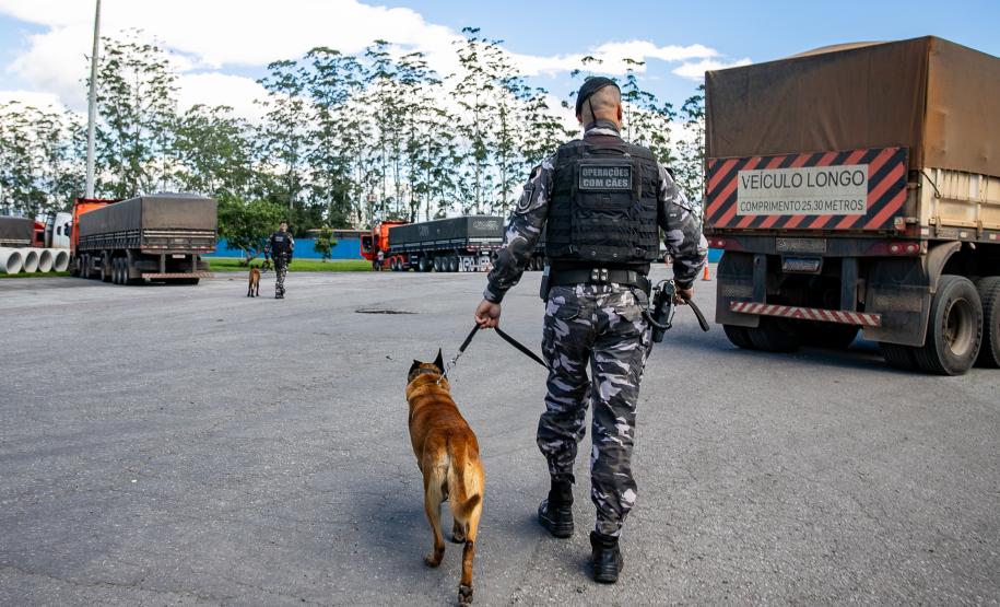 Cães farejadores apoiam Operação Faro no Pátio de Triagem da Portos do Paraná