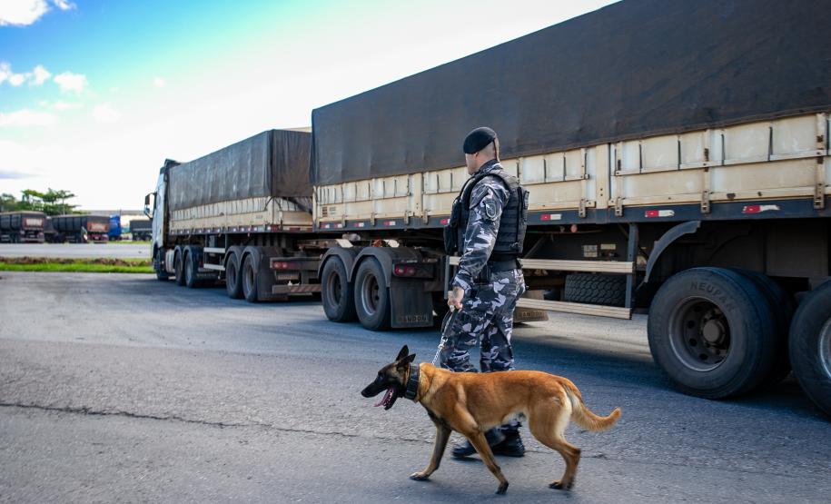 Cães farejadores apoiam Operação Faro no Pátio de Triagem da Portos do Paraná