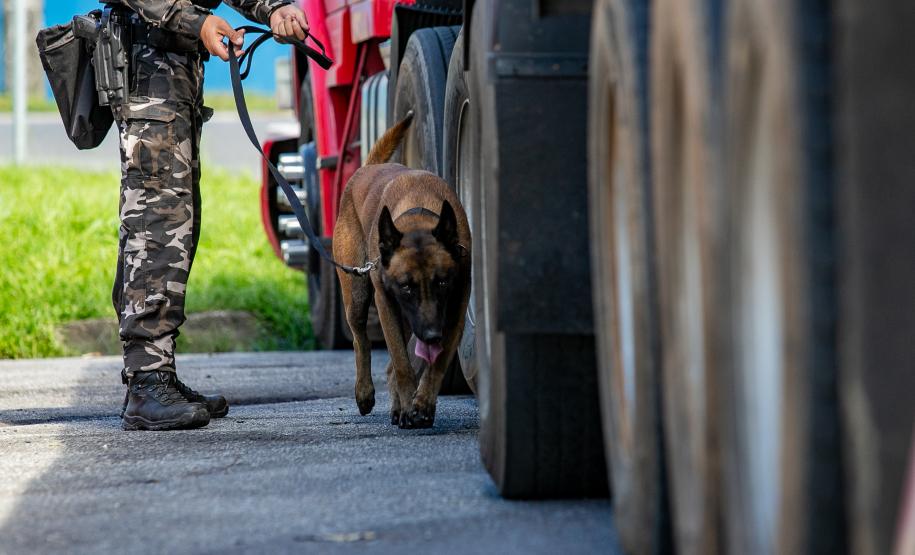 Cães farejadores apoiam Operação Faro no Pátio de Triagem da Portos do Paraná