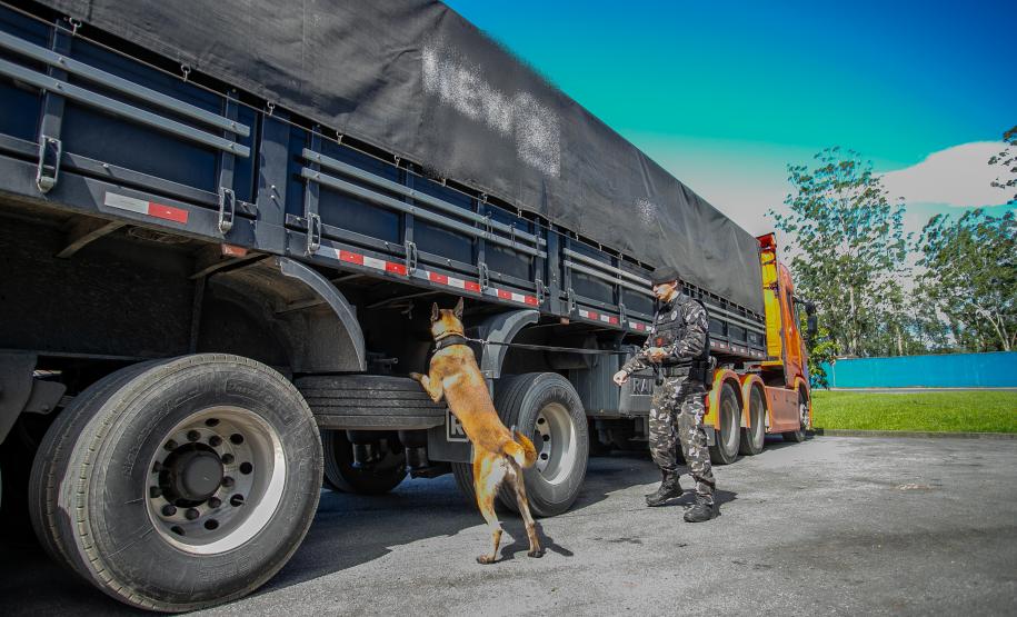 Cães farejadores apoiam Operação Faro no Pátio de Triagem da Portos do Paraná