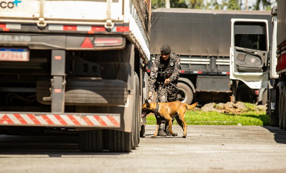 Cães farejadores apoiam Operação Faro no Pátio de Triagem da Portos do Paraná