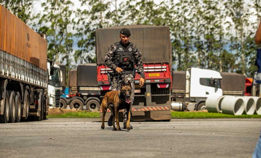 Cães farejadores apoiam Operação Faro no Pátio de Triagem da Portos do Paraná