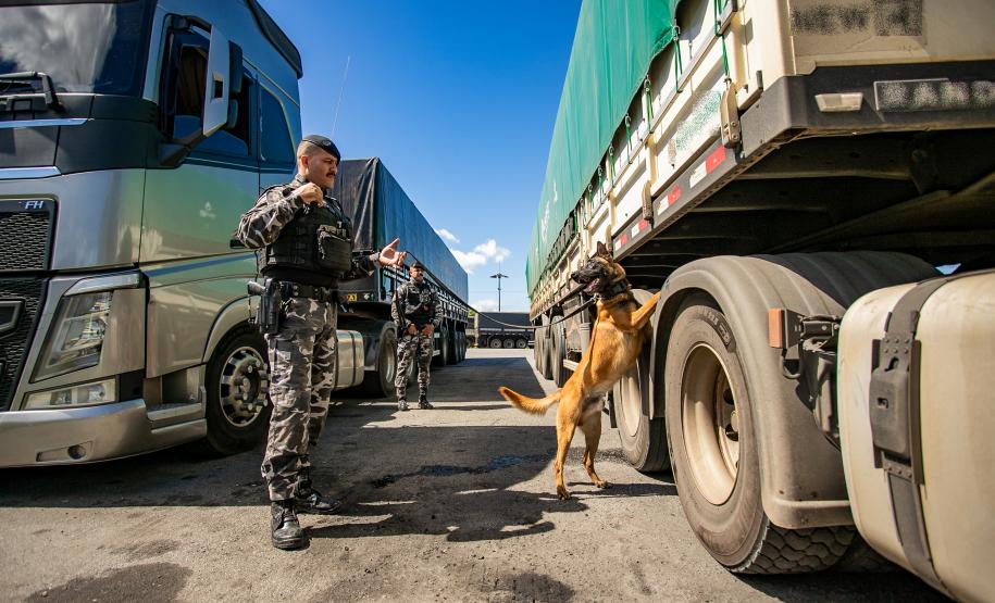 Cães farejadores apoiam Operação Faro no Pátio de Triagem da Portos do Paraná