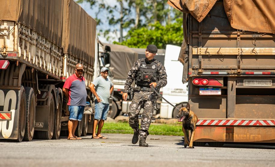 Cães farejadores apoiam Operação Faro no Pátio de Triagem da Portos do Paraná