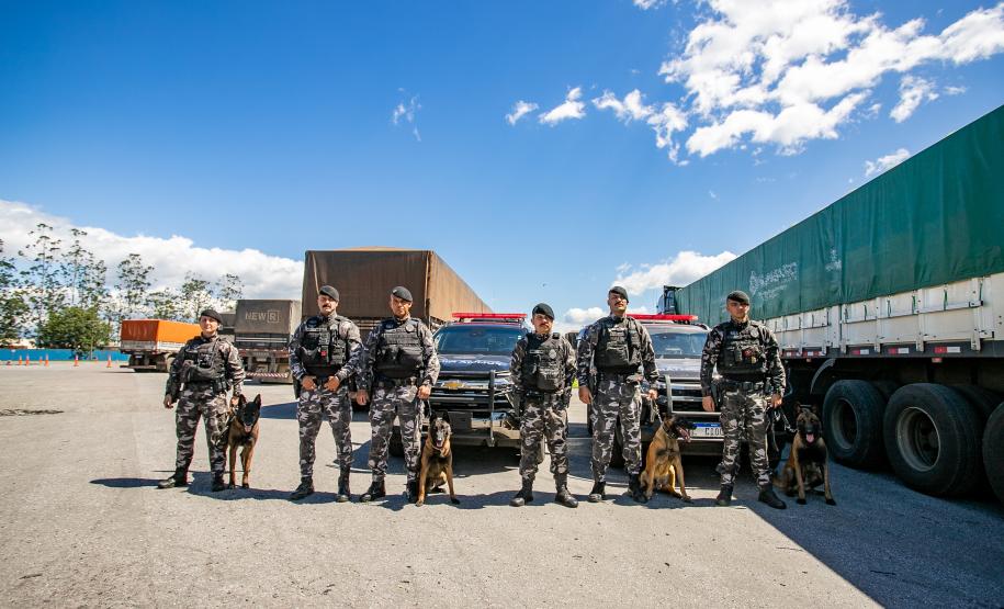 #ParaQuemNaoPodeVer Foto mostra seis policiais em uniforme camuflado em pé, lado a lado, acompanhados por quatro cães pastores. Eles estão em uma estrada, na frente de uma viatura policial com luzes vermelhas e de um caminhão grande coberto com lona verde. O céu está azul com algumas nuvens e o clima parece ensolarado. Ao fundo, é possível ver árvores e um prédio ou galpão.