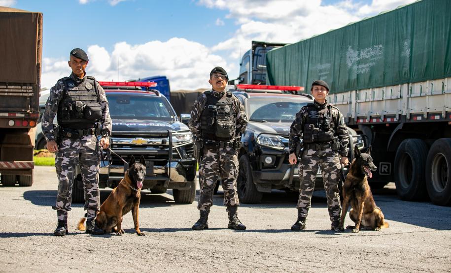 Cães farejadores apoiam Operação Faro no Pátio de Triagem da Portos do Paraná