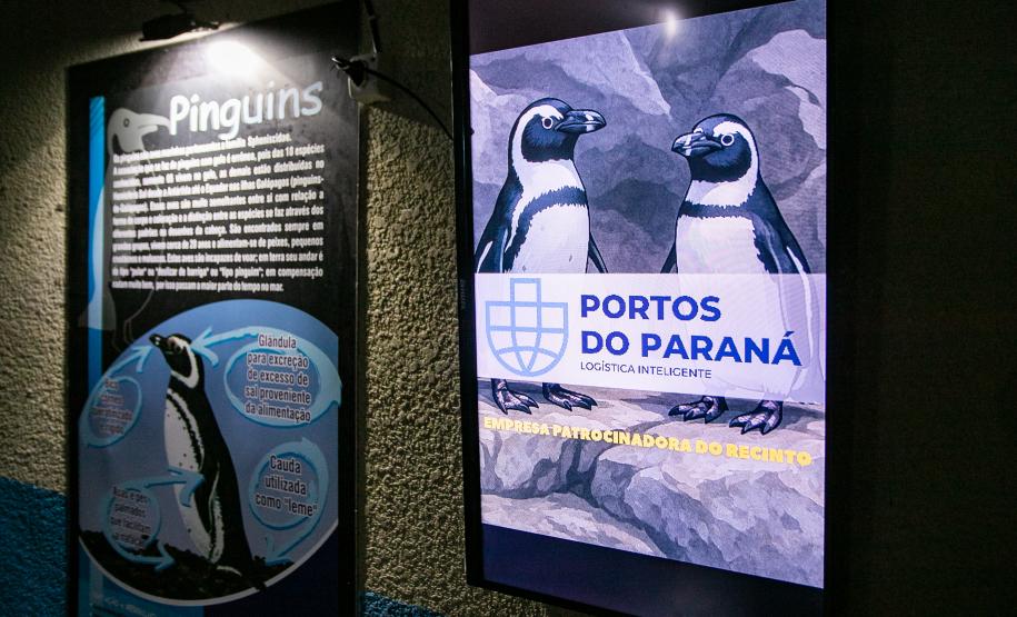 Em 2025, Portos do Paraná investe mais de 30 milhões em projetos socioambientais