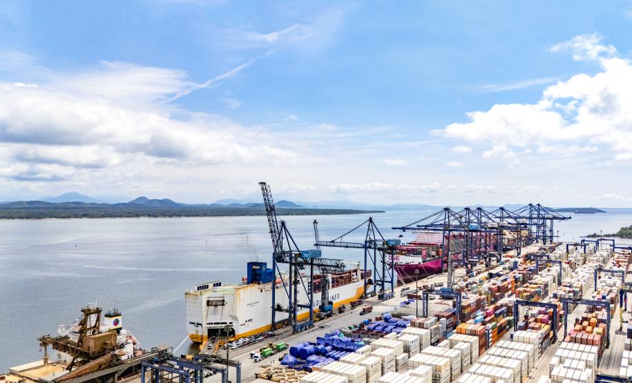 Portos do Paraná concentram quase metade das exportações de frango do Brasil