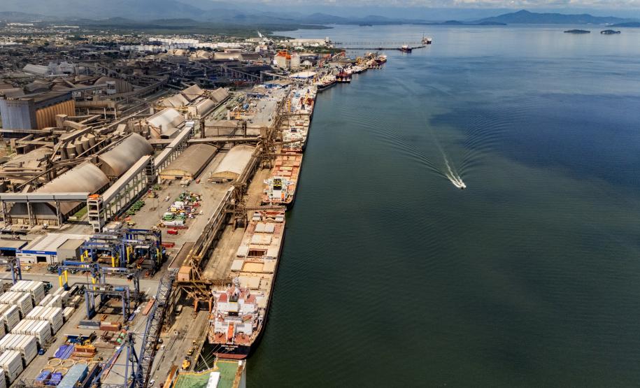 Portos do Paraná concentram quase metade das exportações de frango do Brasil