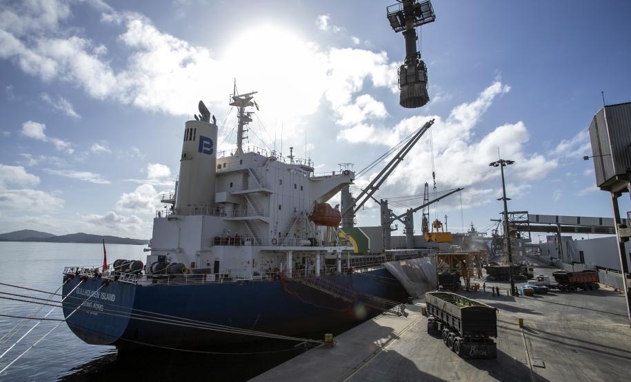 Alta de até 383% na importação de insumos impulsiona indústria cervejeira paranaense