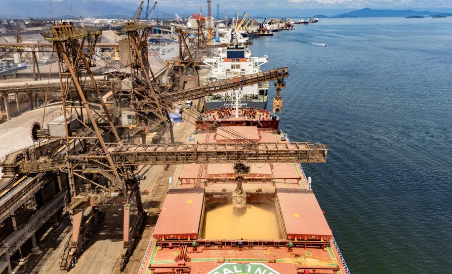 #praquemnaopodever o cais do Porto de Paranaguá visto de cima, sendo o primeiro navio mais proximo da camera um graneleiro repleto de soja e, ao fundo, diversos navios enfileirados ao longo do cai