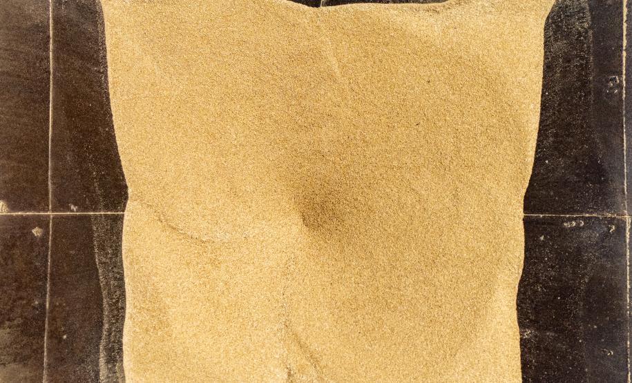 Porto de Paranaguá registra maior operação de cevada em um único navio