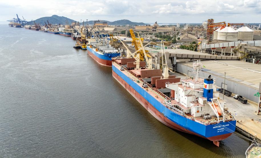 Porto de Paranaguá registra maior operação de cevada em um único navio