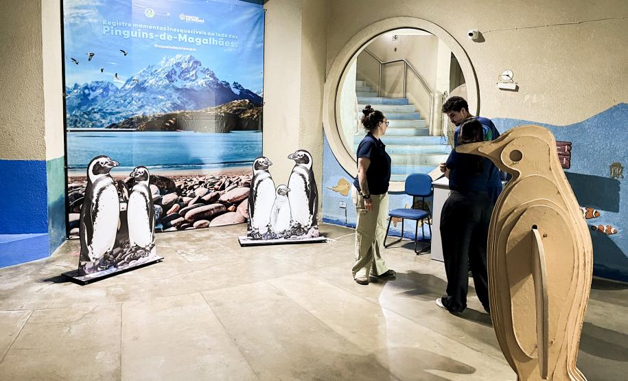 Reforma patrocinada pela Portos do Paraná melhora visitação no Aquário de Paranaguá