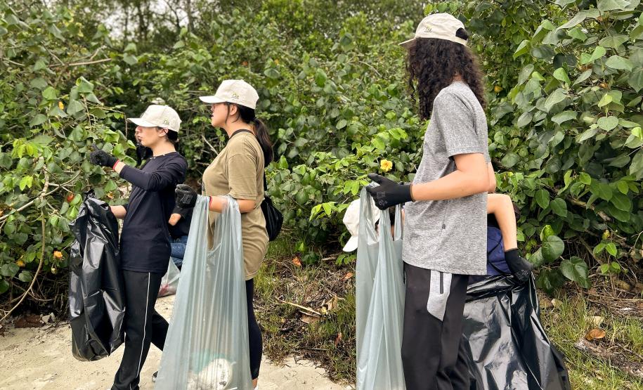 Mutirão da Portos do Paraná recolhe quase 200 kg de resíduos em manguezais