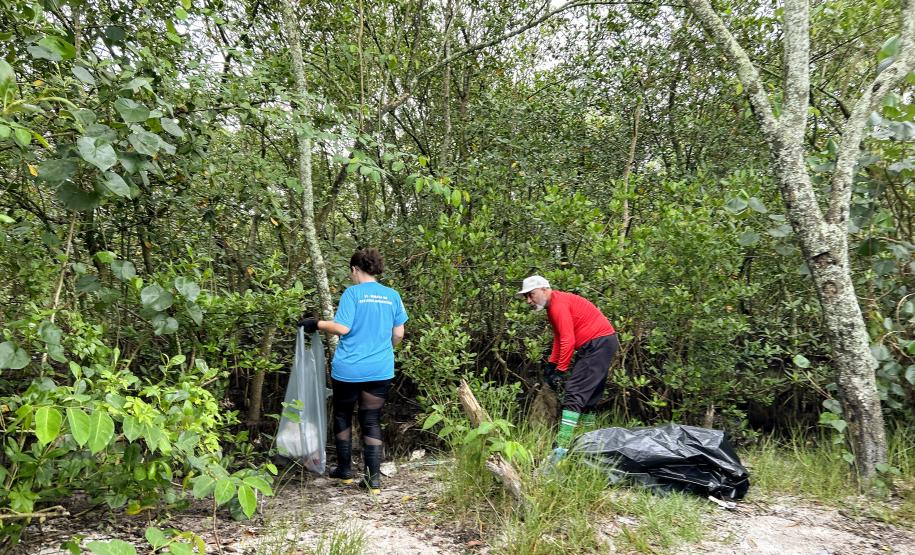 Mutirão da Portos do Paraná recolhe quase 200 kg de resíduos em manguezais