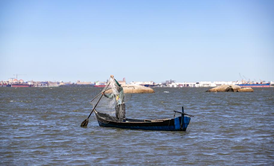 Parceria entre Portos do Paraná e Olha o Peixe vai impulsionar pesca artesanal no litoral