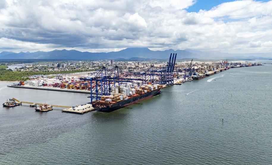 Exportações de frango pelo Porto de Paranaguá crescem 15%