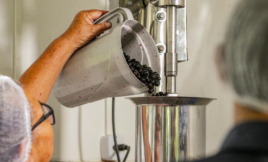 Oficina da Portos do Paraná ensina comunidade litorânea sobre coleta e despolpa do açaí juçara