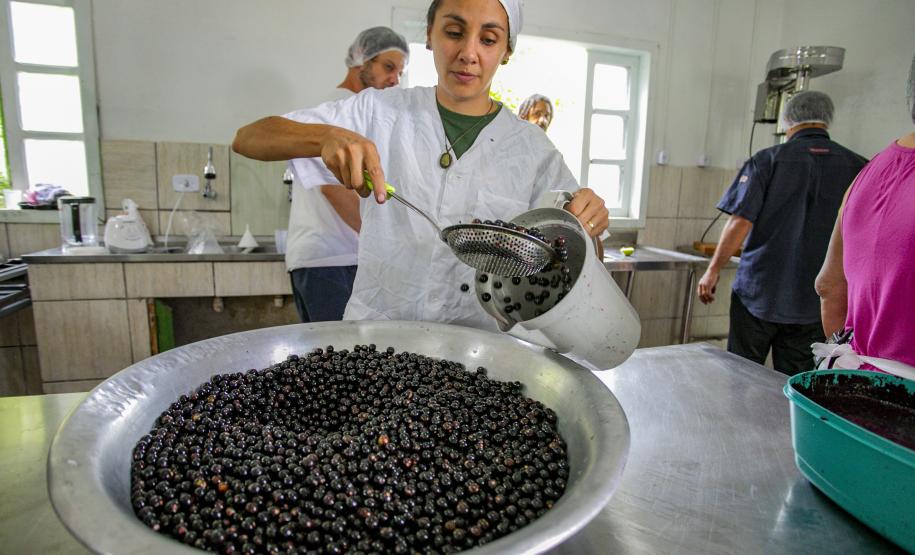 Oficina da Portos do Paraná ensina comunidade litorânea sobre coleta e despolpa do açaí juçara
