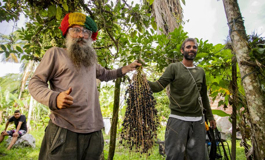 Oficina da Portos do Paraná ensina comunidade litorânea sobre coleta e despolpa do açaí juçara