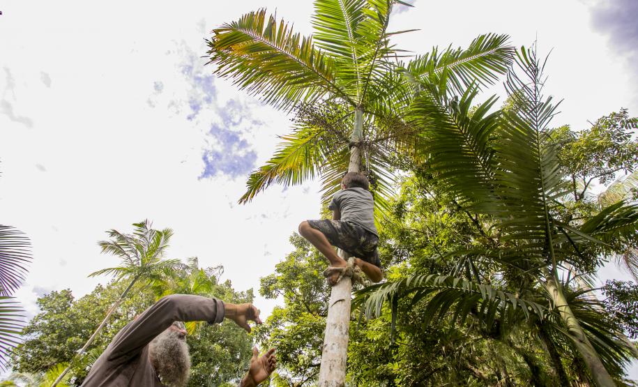 Oficina da Portos do Paraná ensina comunidade litorânea sobre coleta e despolpa do açaí juçara
