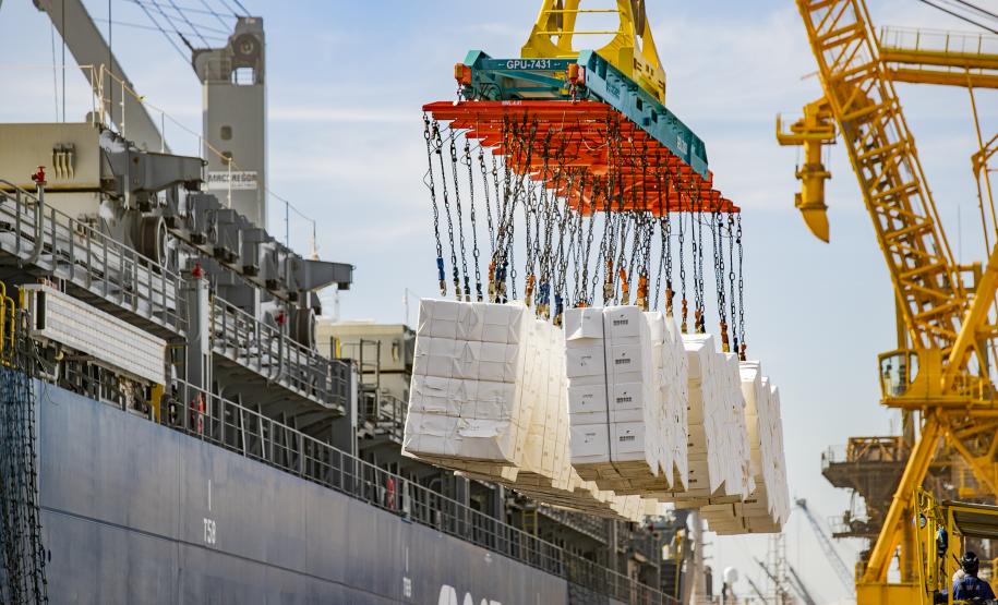 Porto de Paranaguá recebe navio sustentável em viagem inaugural
