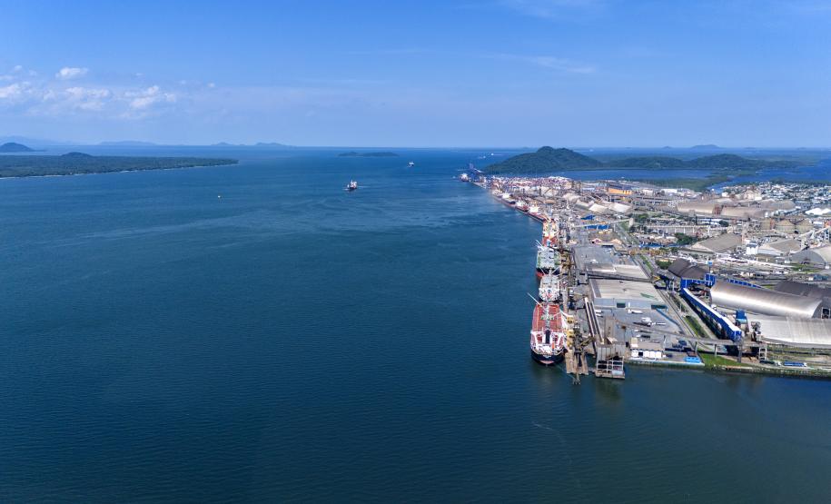 Entre navios e manguezais, biodiversidade de peixes se destaca na Baía de Paranaguá