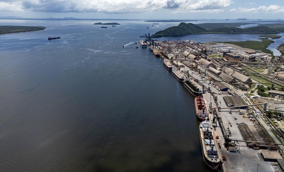 Entre navios e manguezais, biodiversidade de peixes se destaca na Baía de Paranaguá