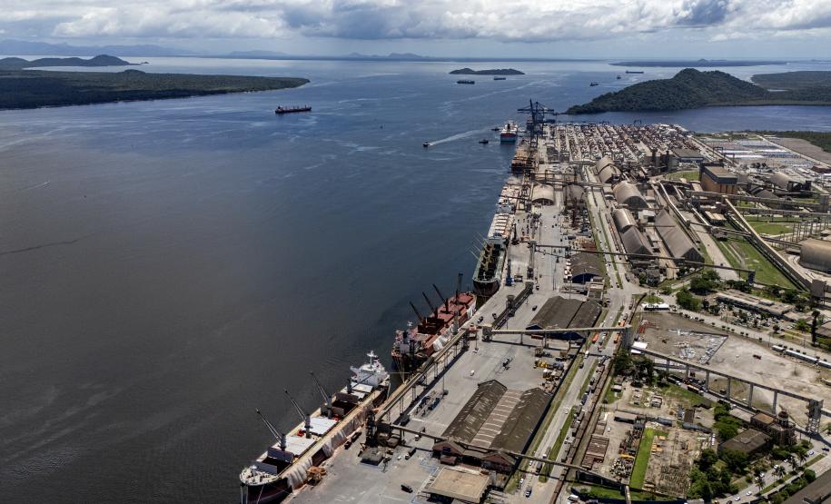 Entre navios e manguezais, biodiversidade de peixes se destaca na Baía de Paranaguá