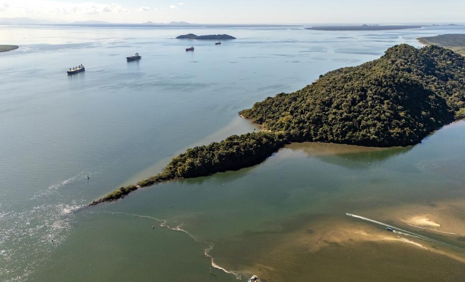 Entre navios e manguezais, biodiversidade de peixes se destaca na Baía de Paranaguá