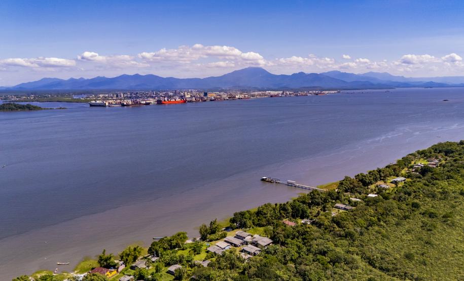 Entre navios e manguezais, biodiversidade de peixes se destaca na Baía de Paranaguá