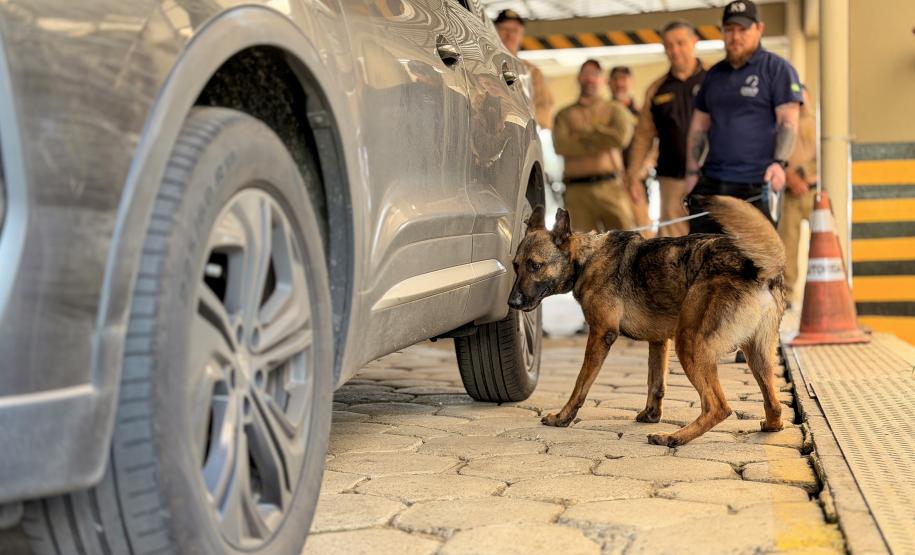 Fórum reúne 36 profissionais de segurança que atuam nos portos do Paraná, São Paulo e Santa Catarina