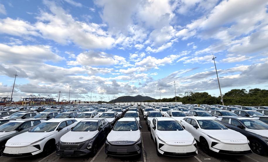 Novas montadoras ampliam o recebimento de automóveis no segundo semestre. Porto realiza desembarque recorde de 6 mil veículos de um navio nessa semana