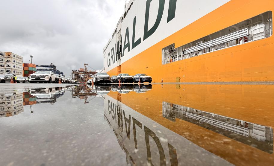 Novas montadoras ampliam o recebimento de automóveis no segundo semestre. Porto realiza desembarque recorde de 6 mil veículos de um navio nessa semana