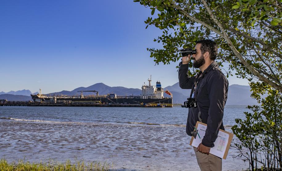 Programa de Monitoramento da Avifauna contabilizou 149 espécies no complexo estuarino. Aves funcionam como “sentinelas” para acompanhar a saúde ecológica da região