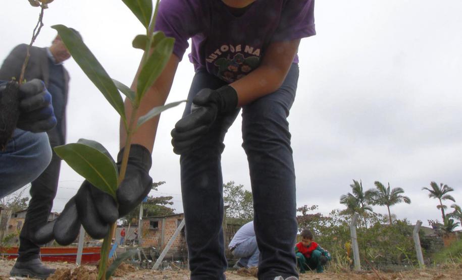 Appa e Instituto Mosaic promovem plantio de espécies nativas Appa e Instituto Mosaic promovem plantio de espécies nativas