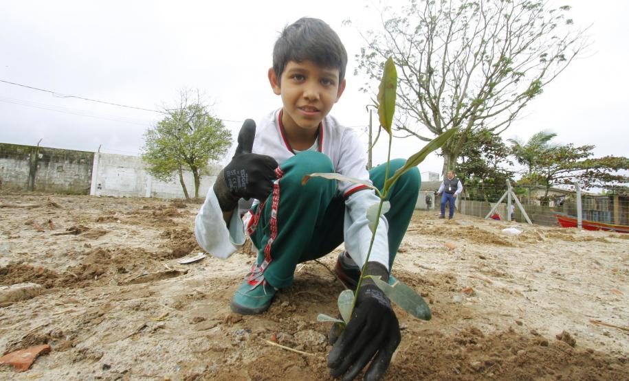 Appa e Instituto Mosaic promovem plantio de espécies nativas Appa e Instituto Mosaic promovem plantio de espécies nativas