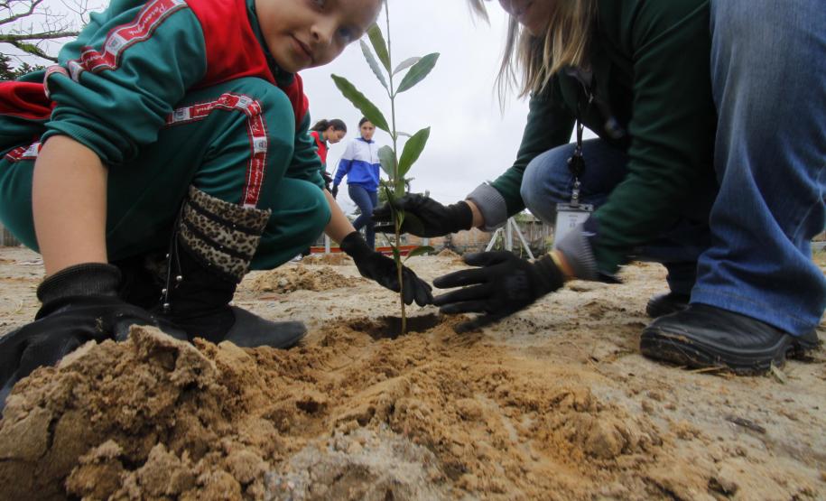 Appa e Instituto Mosaic promovem plantio de espécies nativas Appa e Instituto Mosaic promovem plantio de espécies nativas