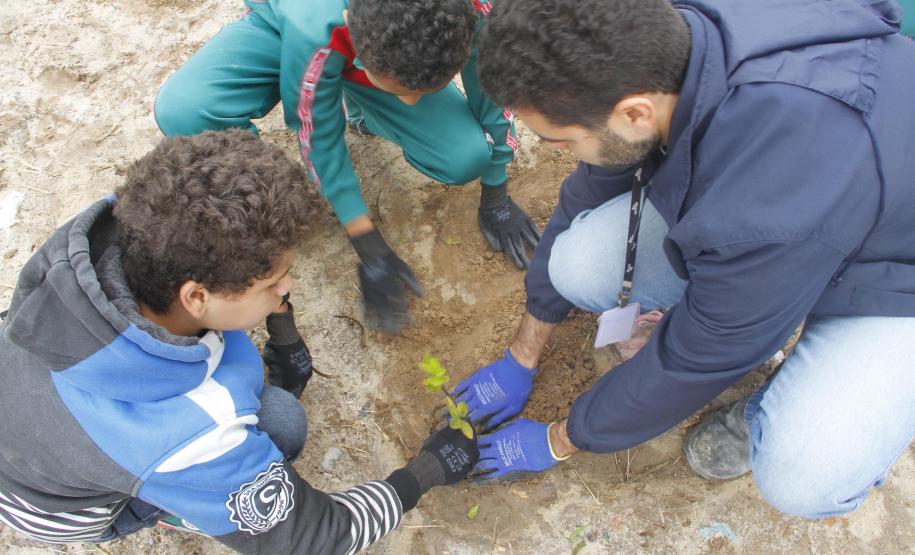 Appa e Instituto Mosaic promovem plantio de espécies nativas Appa e Instituto Mosaic promovem plantio de espécies nativas