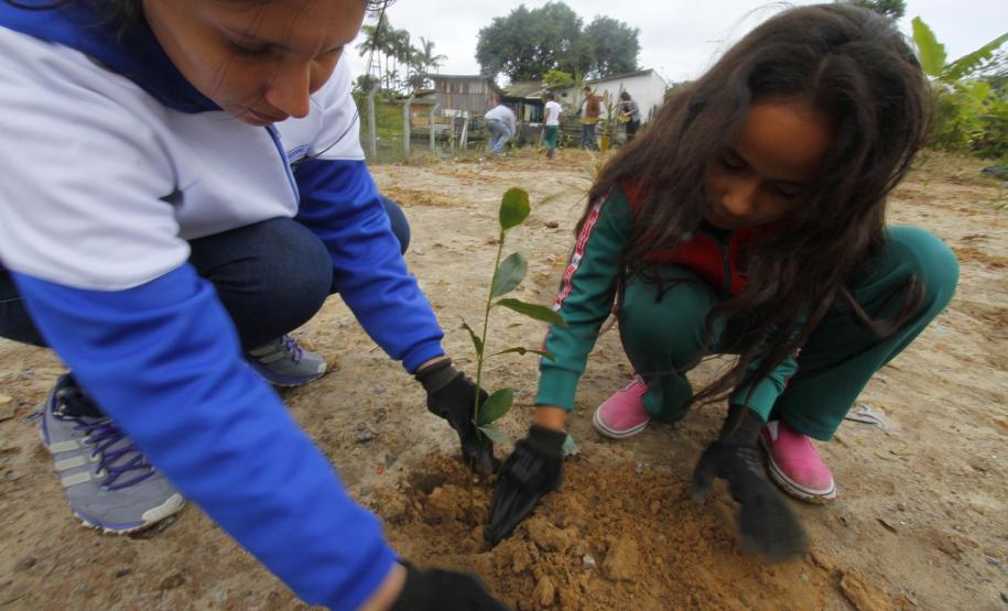 Appa e Instituto Mosaic promovem plantio de espécies nativas Appa e Instituto Mosaic promovem plantio de espécies nativas