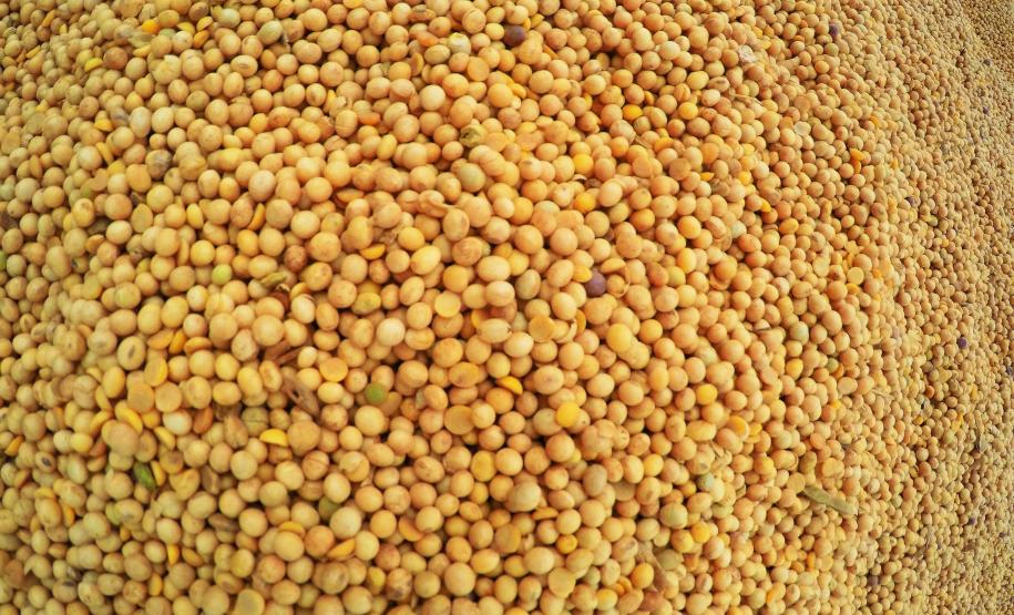 Veículos lideram aumento na movimentação de cargas no Porto de Paranaguá