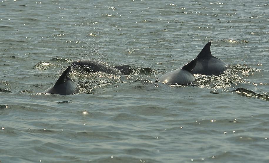 Portos do Paraná são os que mais evoluíram em desempenho ambiental
